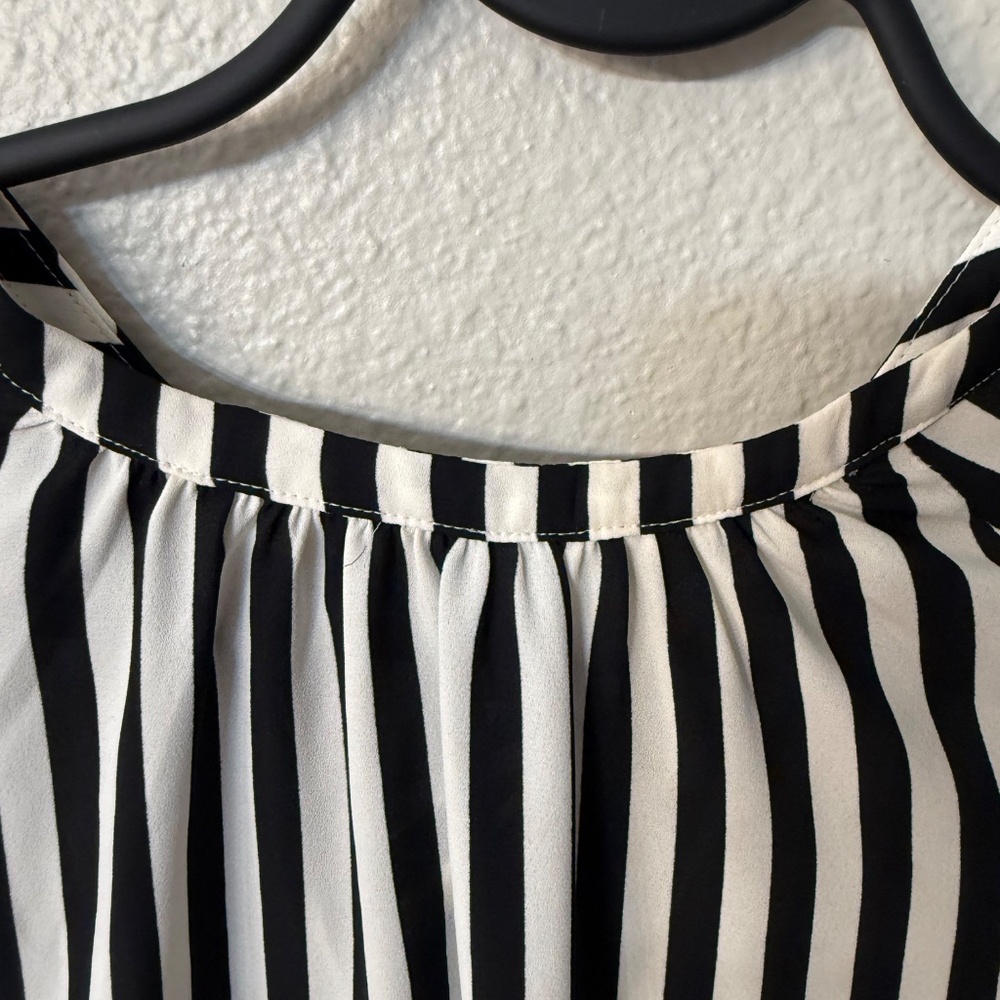 Striped shell - Picture 3 of 5